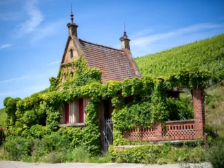 Tourismus Heilbronn